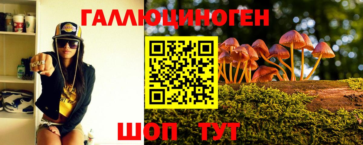 Галлюциногенные грибы Psilocybine cubensis  Вход с VPN  Ступино 