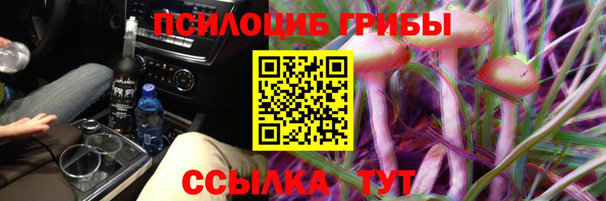 Псилоцибиновые грибы Cubensis Ступино